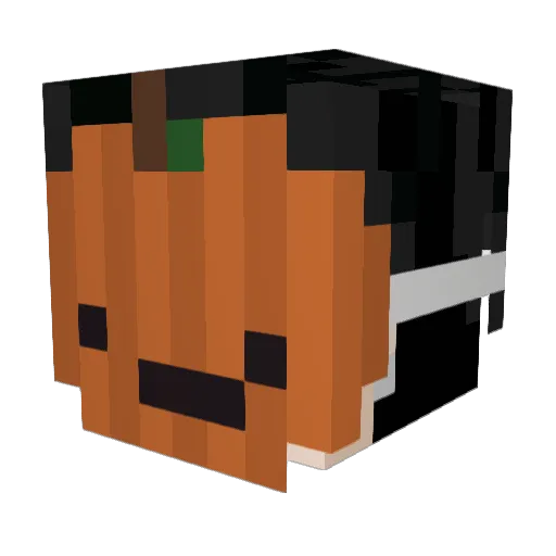 lousyEX Minecraft avatar head, 3D render