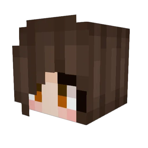 lout0 Minecraft avatar head, 3D render