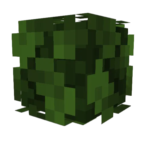 louthealbo Minecraft avatar head, 3D render