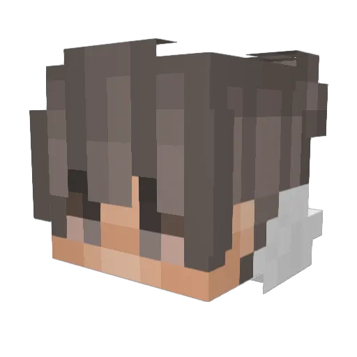 love2004 Minecraft avatar head, 3D render