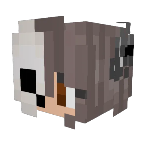 loveNaraki Minecraft avatar head, 3D render
