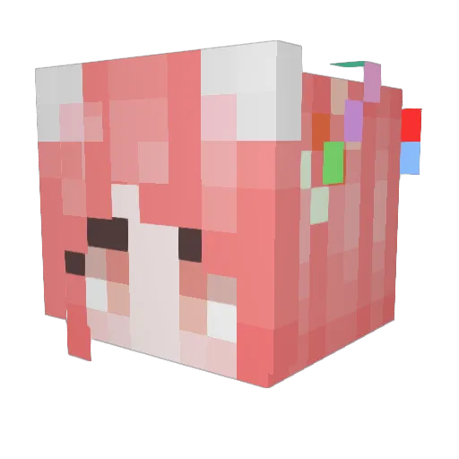 love_can Minecraft avatar head, 3D render
