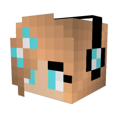 love_squid Minecraft avatar head, 3D render