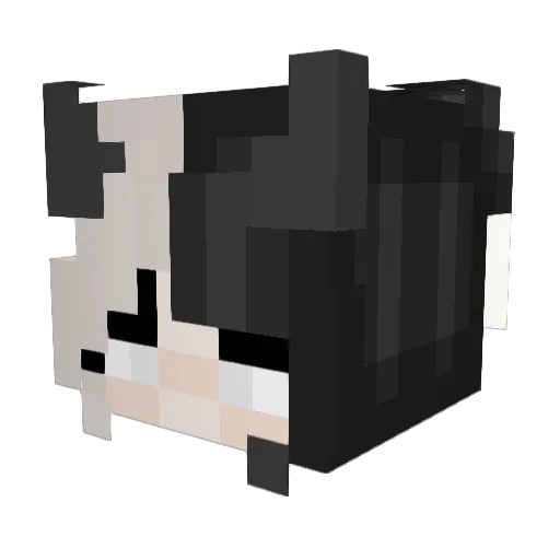 lovealbedo Minecraft avatar head, 3D render