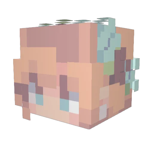 loveandlemons Minecraft avatar head, 3D render