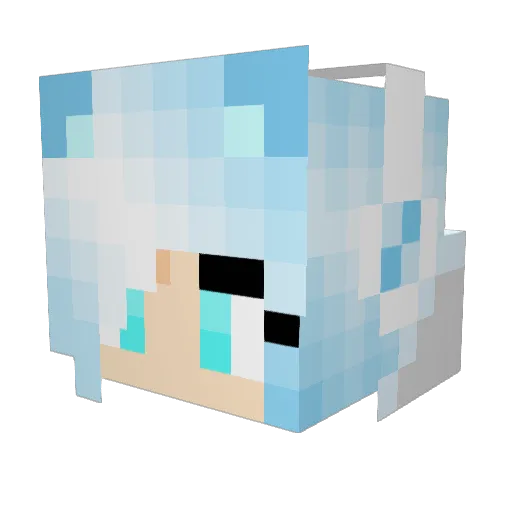 loveanimals2468 Minecraft avatar head, 3D render
