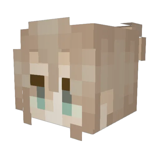 lovebingus Minecraft avatar head, 3D render