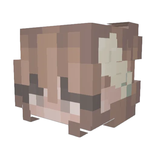 loveboots101 Minecraft avatar head, 3D render