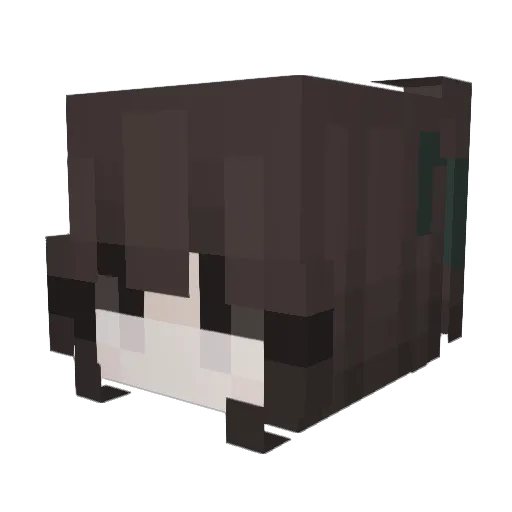 lovebugliv12 Minecraft avatar head, 3D render