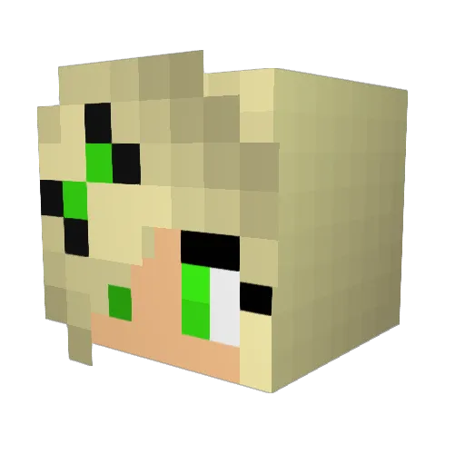 lovedove66009 Minecraft avatar head, 3D render