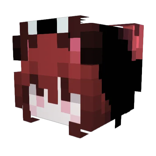 lovefields Minecraft avatar head, 3D render