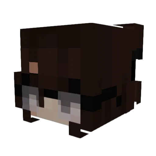 loveisbeautiful Minecraft avatar head, 3D render