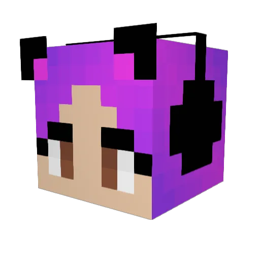 lovele555 Minecraft avatar head, 3D render