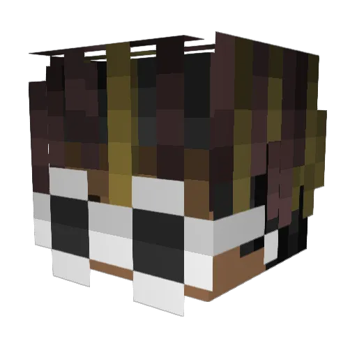 lovelife Minecraft avatar head, 3D render