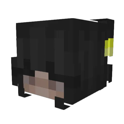 lovelycookiedoki Minecraft avatar head, 3D render