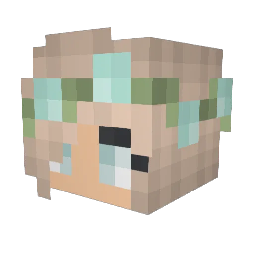 lovelyduck99 Minecraft avatar head, 3D render
