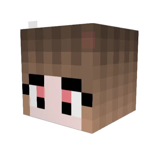 lovelyhime Minecraft avatar head, 3D render