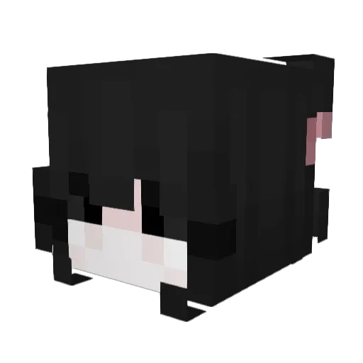 lovelykitty123 Minecraft avatar head, 3D render