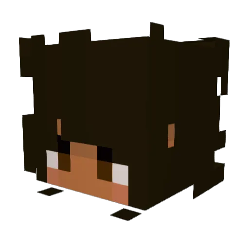 lovelylystars Minecraft avatar head, 3D render