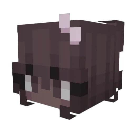 lovelyprincess39 Minecraft avatar head, 3D render