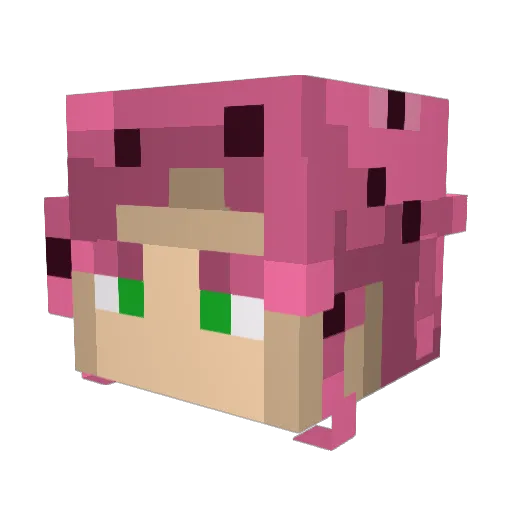lovenico Minecraft avatar head, 3D render
