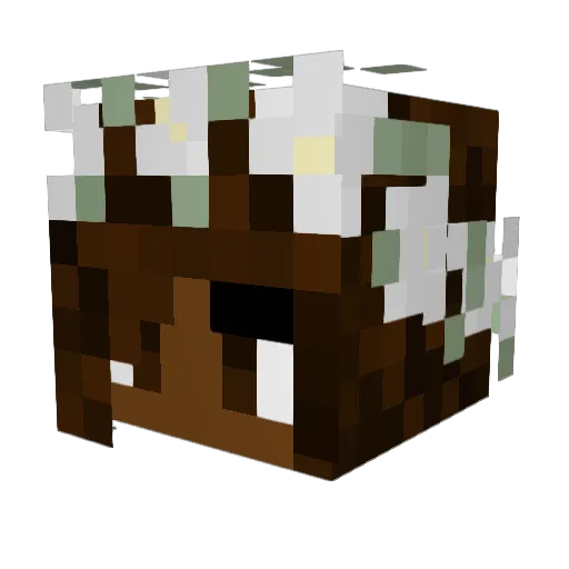 loveruaj Minecraft avatar head, 3D render
