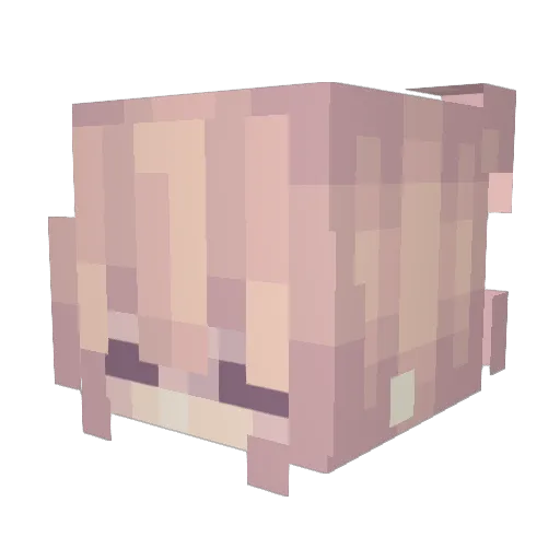 lovestar76 Minecraft avatar head, 3D render