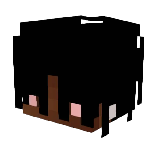 lovesvoid Minecraft avatar head, 3D render