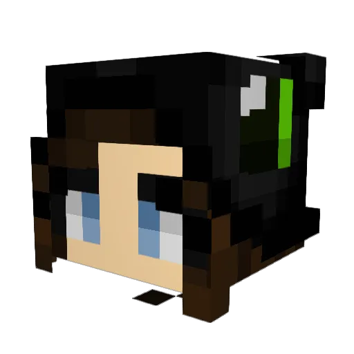 lovetoothlesssss Minecraft avatar head, 3D render
