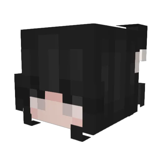 lovevalley Minecraft avatar head, 3D render