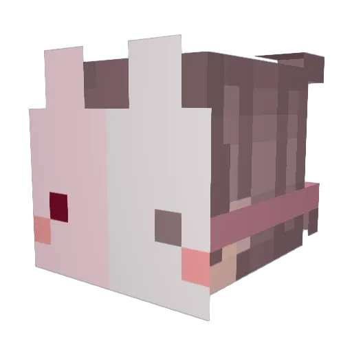 lovo0134 Minecraft avatar head, 3D render