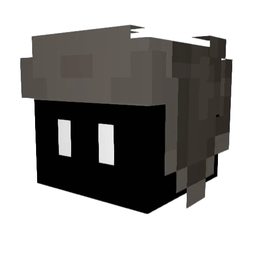 lowEEr Minecraft avatar head, 3D render