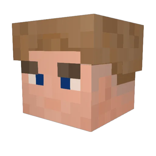 low_wifi_dano Minecraft avatar head, 3D render