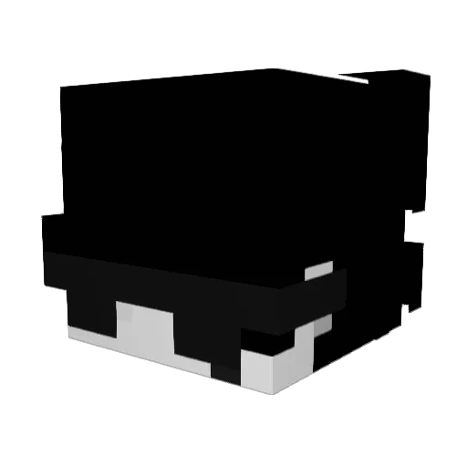 lowca_odrzutowca Minecraft avatar head, 3D render
