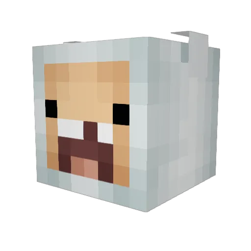 lowclassvillain Minecraft avatar head, 3D render