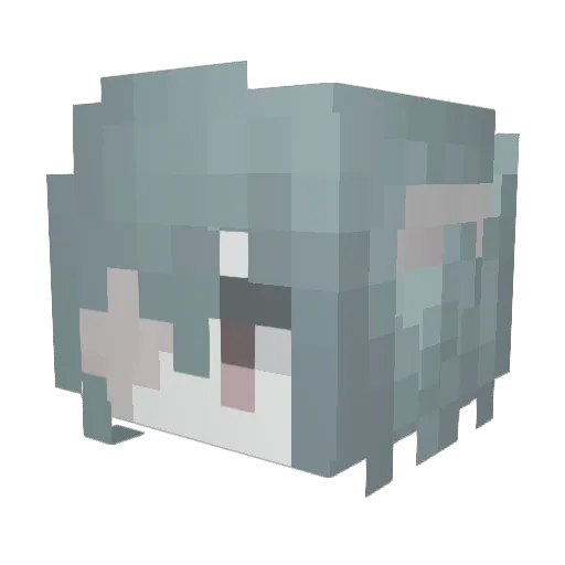 lowfttt1 Minecraft avatar head, 3D render