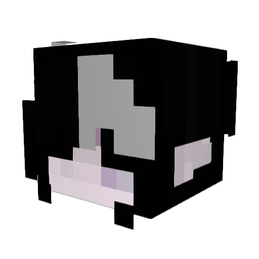 lowiskindacool Minecraft avatar head, 3D render