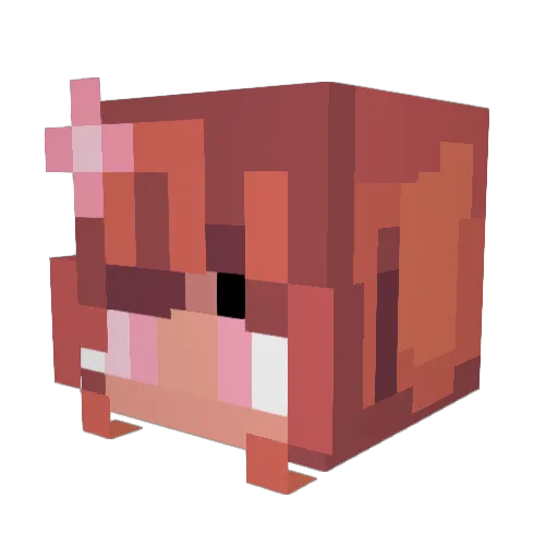lowquotaslol Minecraft avatar head, 3D render