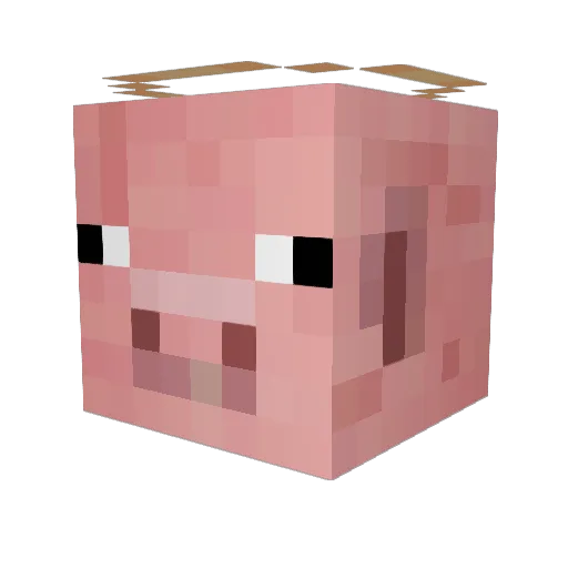 lowtabstreet Minecraft avatar head, 3D render