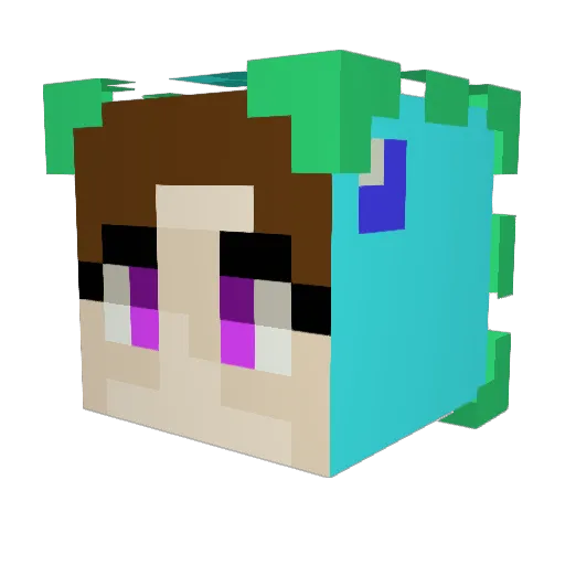 lowtidedino Minecraft avatar head, 3D render