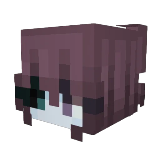 loyalllll Minecraft avatar head, 3D render