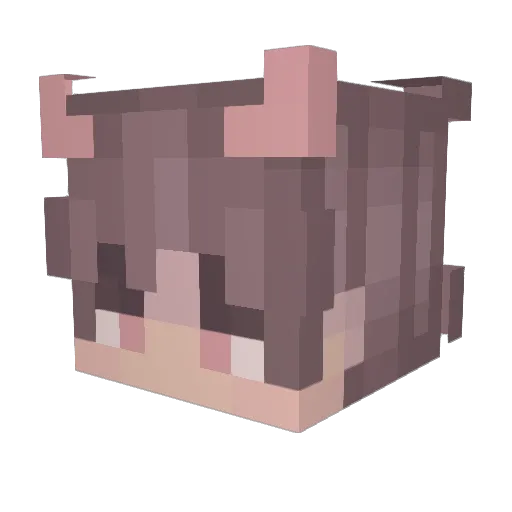 lozerrrrrr Minecraft avatar head, 3D render