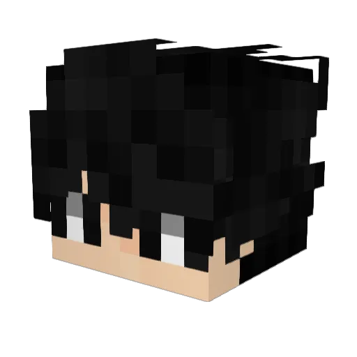 lozw1989 Minecraft avatar head, 3D render