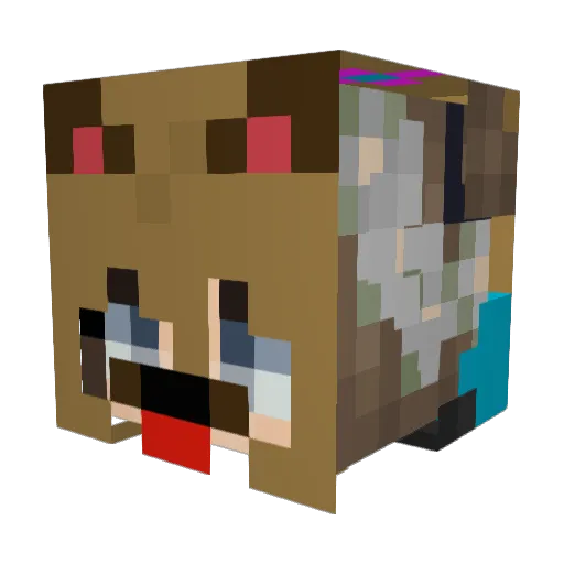 lpehl11 Minecraft avatar head, 3D render