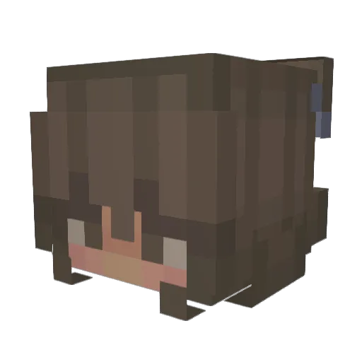 lquren5 Minecraft avatar head, 3D render