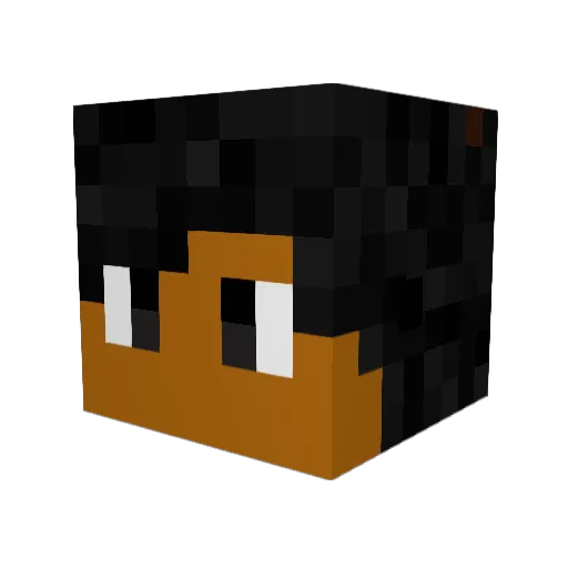 lqveanne Minecraft avatar head, 3D render