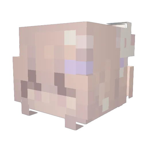 lronKid Minecraft avatar head, 3D render