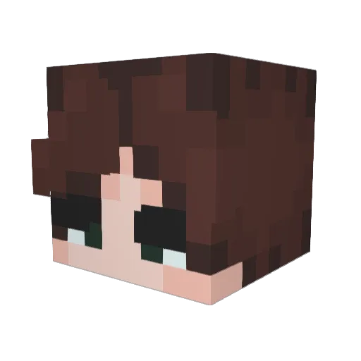 lrowley221_ Minecraft avatar head, 3D render