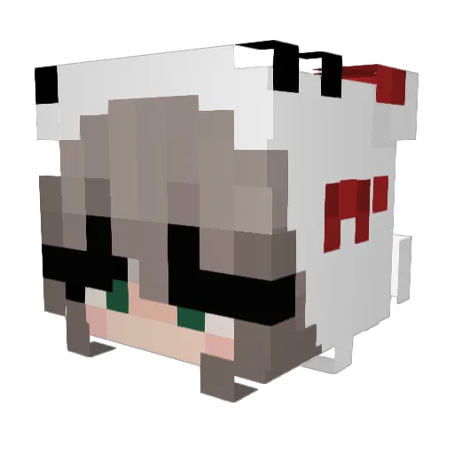 lrskull1 Minecraft avatar head, 3D render