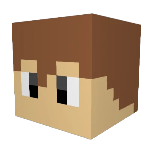 lruim973 Minecraft avatar head, 3D render